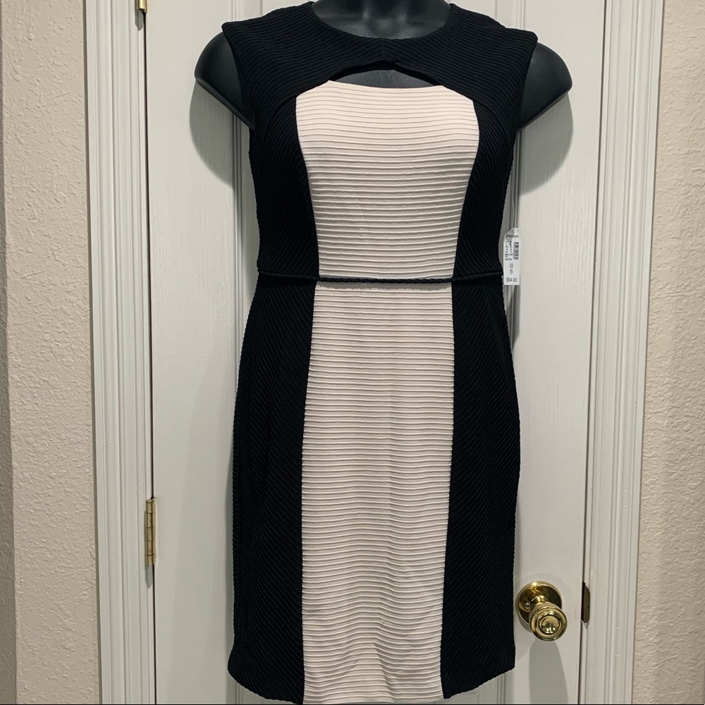 New Dressbarn dress